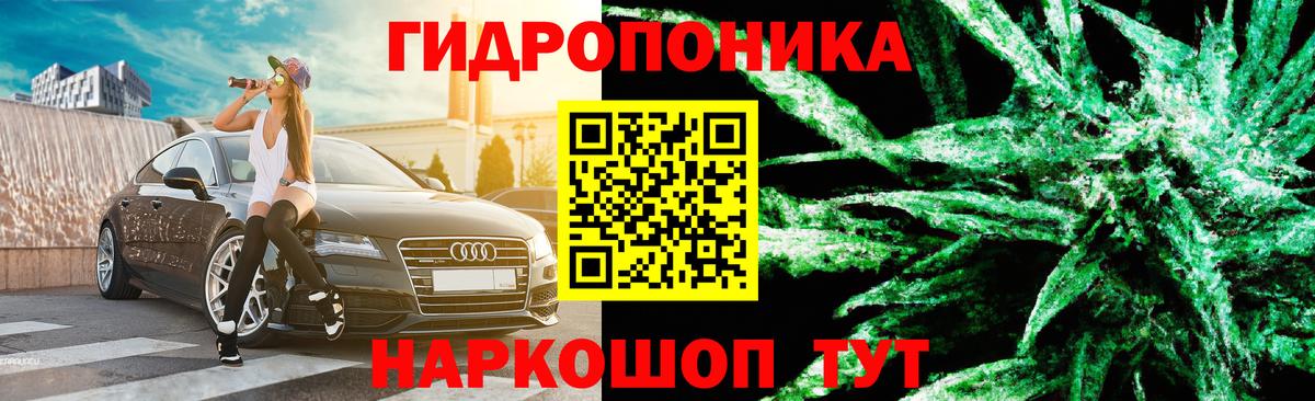 Бошки Шишки тримм Коряжма